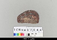 藏品(中國湖北皮影戲盔帽)的圖片